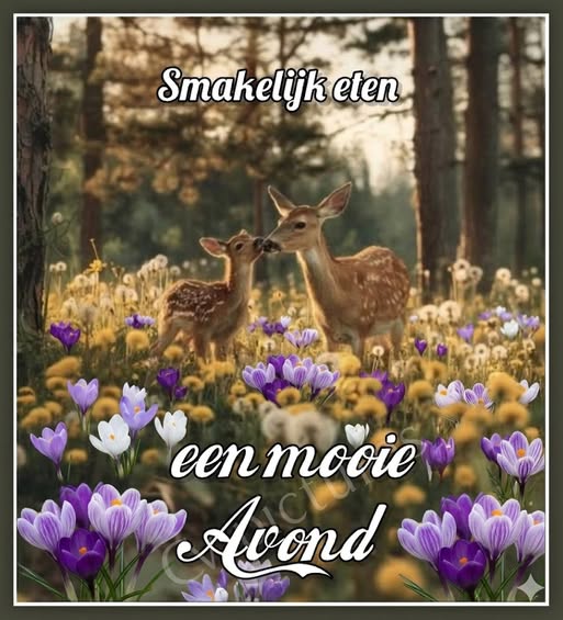 673425327_146544177…